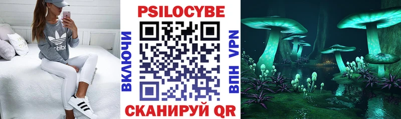 Галлюциногенные грибы прущие грибы  Купить закладки  Гаврилов-Ям 